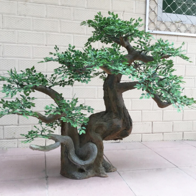 Bonsai u zatvorenom borovom drvetu